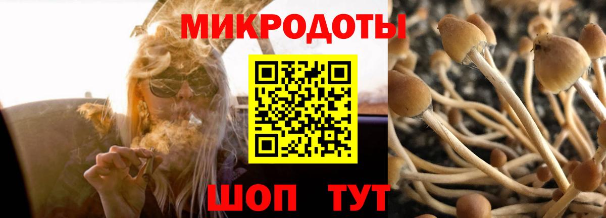 Псилоцибиновые грибы MAGIC MUSHROOMS  Галлюциногенные грибы мухоморы  Вход с VPN  Йошкар-Ола 